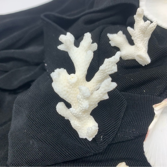 Vintage Shells and Coral from Beach in San Juan, Puerto Rico circa 1972 - Picture 5 of 6